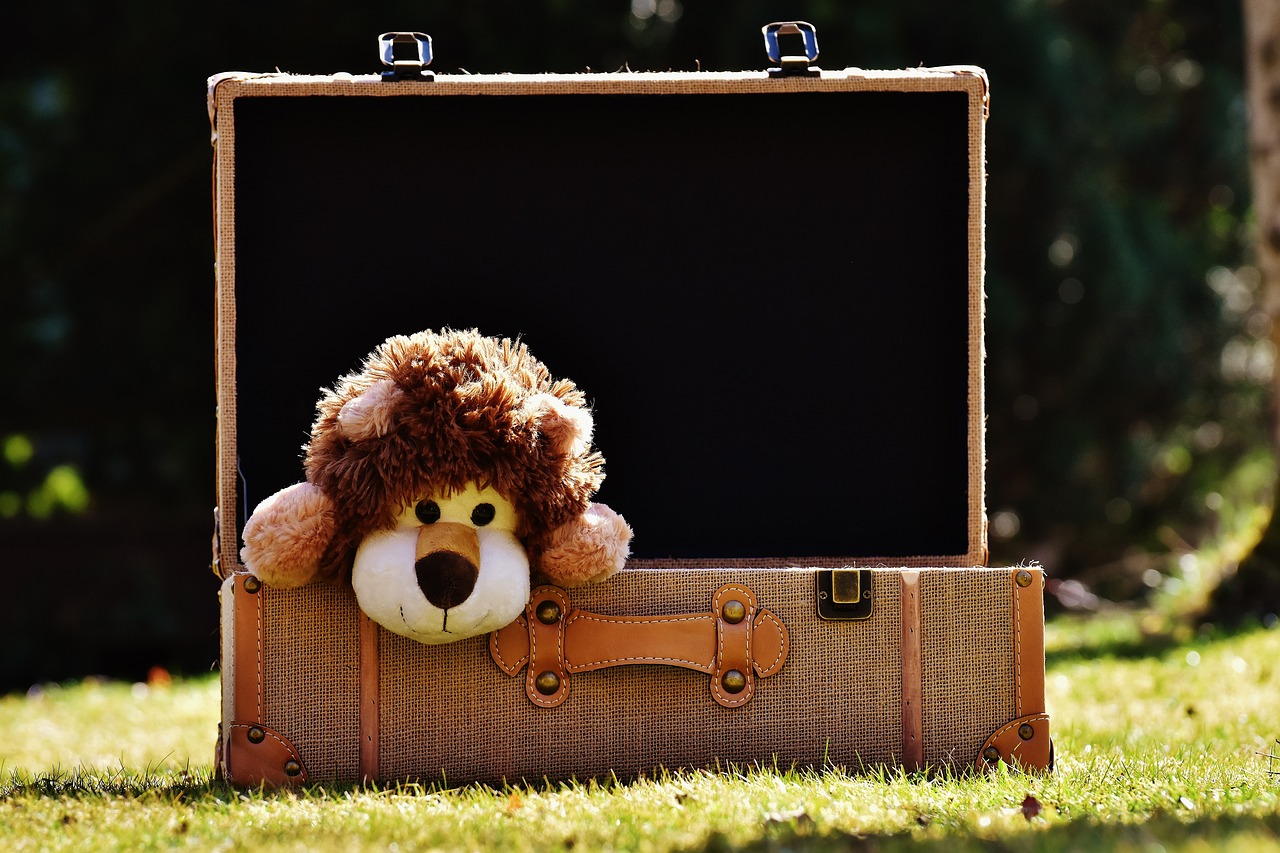 cuddly-toy-2149742_1280