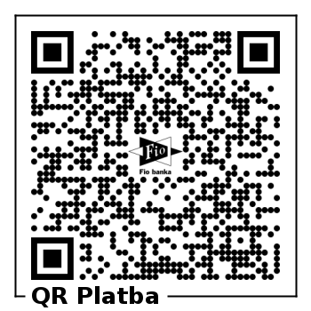 platba vila z vysehradu - vstupenka 399 kc